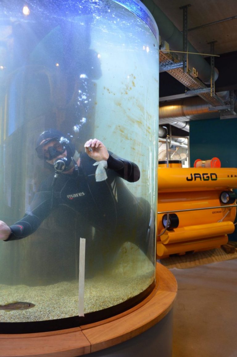 Ostsee Info-Center (OIC)