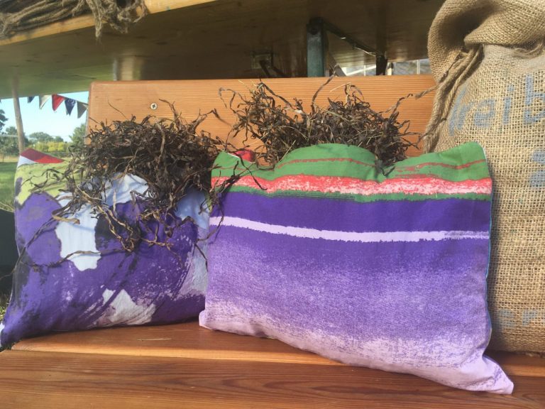 Herbstferienprogramm im Ostsee Info-Center