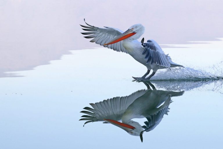 „Pepe und die Welt der Insekten“ im UIZ